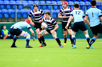 Terenure v St. Michael's