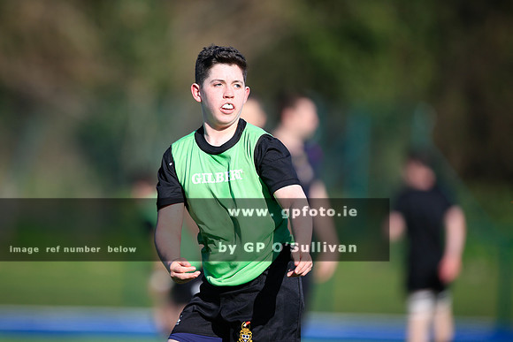 gpfoto.ie