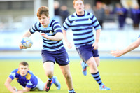 Dundalk Grammar v Templeogue College  Father Gadfrey Cup 2016