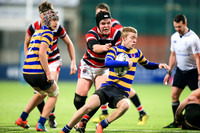 Dundalk Grammar v Templeogue College  Father Gadfrey Cup 2016