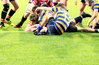 Wesley College v Skerries CC