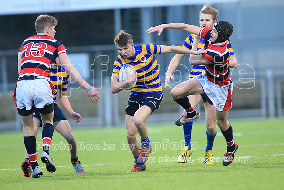 Dundalk Grammar v Templeogue College  Father Gadfrey Cup 2016