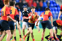 St Fintans v High School