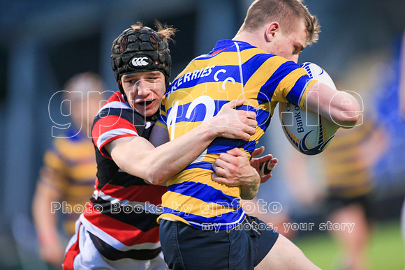Dundalk Grammar v Templeogue College  Father Gadfrey Cup 2016