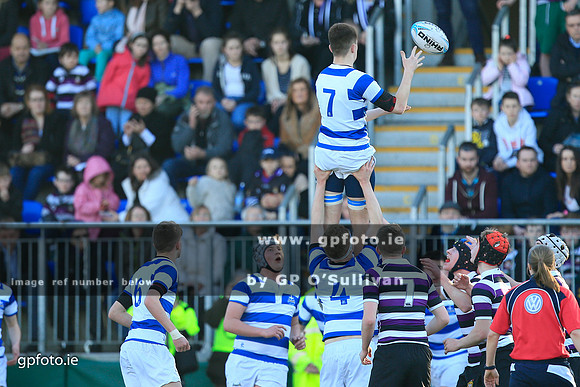 gpfoto.ie