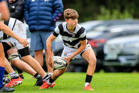 JCT 19-09-26 Belvedere v Castleknock