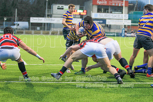 Dundalk Grammar v Templeogue College  Father Gadfrey Cup 2016