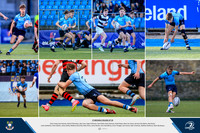 Layout (1)