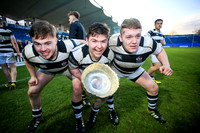 Belvedere v Roscrea (Post Match )