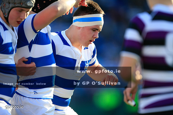 gpfoto.ie