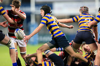 Dundalk Grammar v Templeogue College  Father Gadfrey Cup 2016