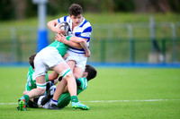 Blackrock College v Gonzaga College