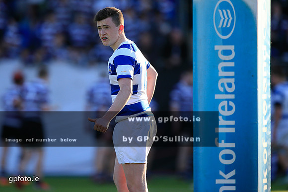 gpfoto.ie