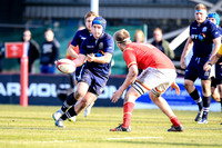Scotland v Wales