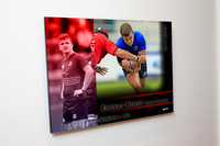 12"x16" image mounted on a 10mm foamx bolc