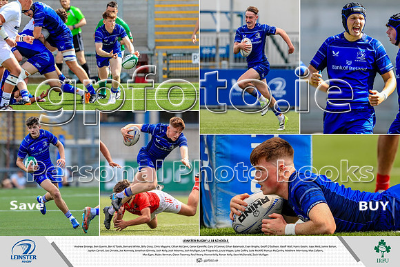 Leinster Layout (1)
