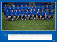 Leinster Team print 12x16_€49
