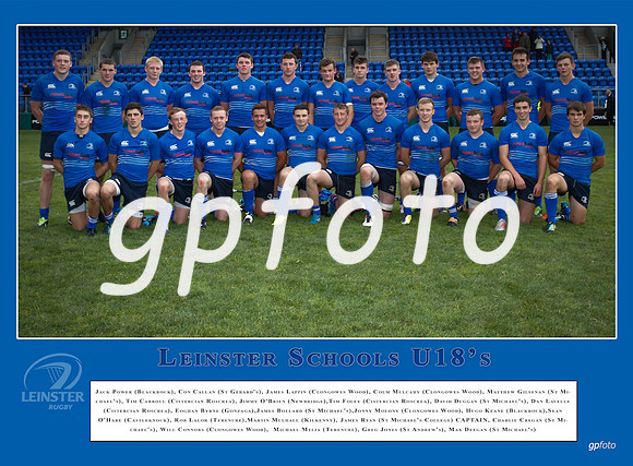 Leinster Team print 12x16_€49