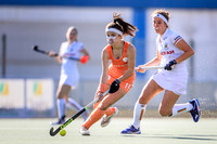 Netherlands v Belgium