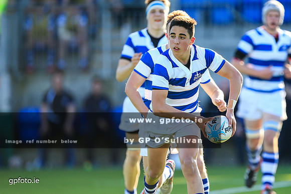 gpfoto.ie