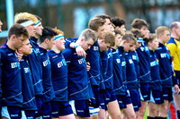 Scotland v Ireland (match)