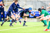Scotland v Ireland