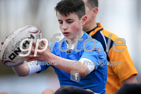 20150205-_P155098