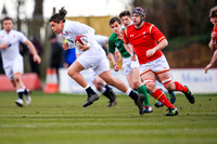 England v Wales ( Match)