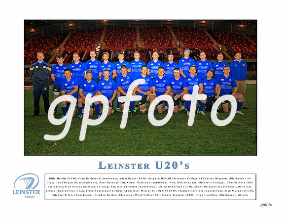 Leinster U20s 12x16_ print only €49