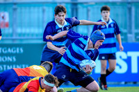 Newpark Comprehensive v St Fintan's High School
