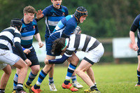 Belvedere v Castletroy (friendly)