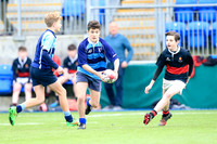 Newpark v High School