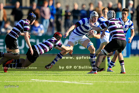 gpfoto.ie