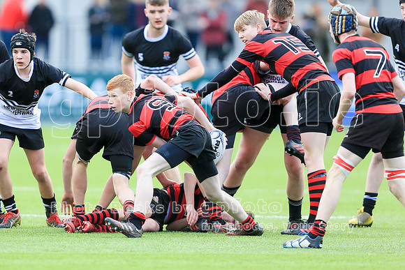 20170116-HM0Q2851