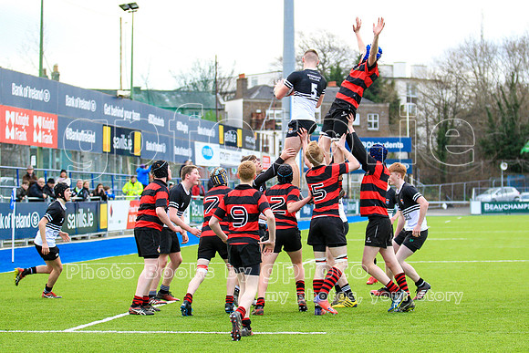 20170116-DS1E9410