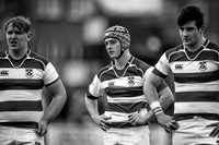 20170131-G5679180