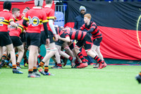 20170209-GP166683