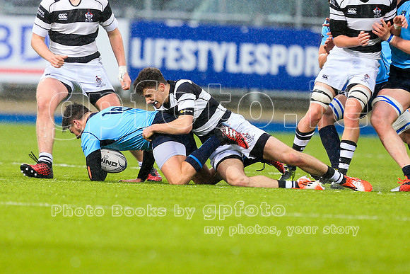 20170212-G5670083