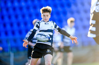 20170205-G5676908
