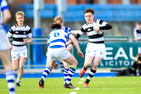 Belvedere v Blackrock