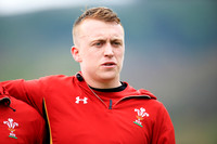 Wales v Ireland