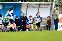 Naas Rugby v Barbarians