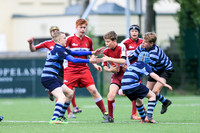 Llandaff RFCv Amersham & Chiltern