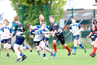20170429-G5670487
