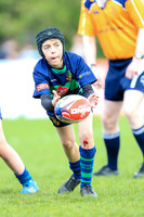 Terenure Gladiators v Monaghan