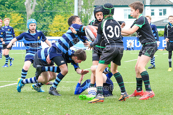 20170430-GP2L7311