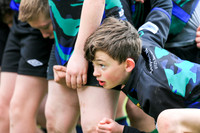 Seapoint v Rugbai