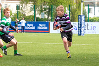 Terenure Warriors v Naas Rugby