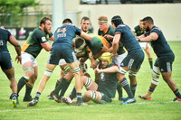 U20_2515