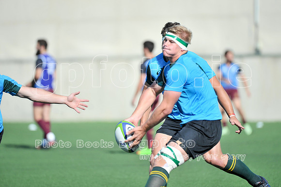 U20_6325